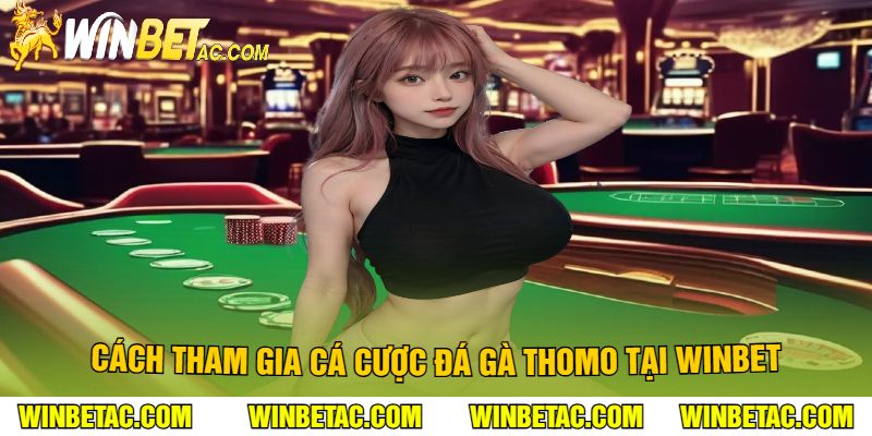 Cách tham gia cá cược đá gà thomo tại Winbet